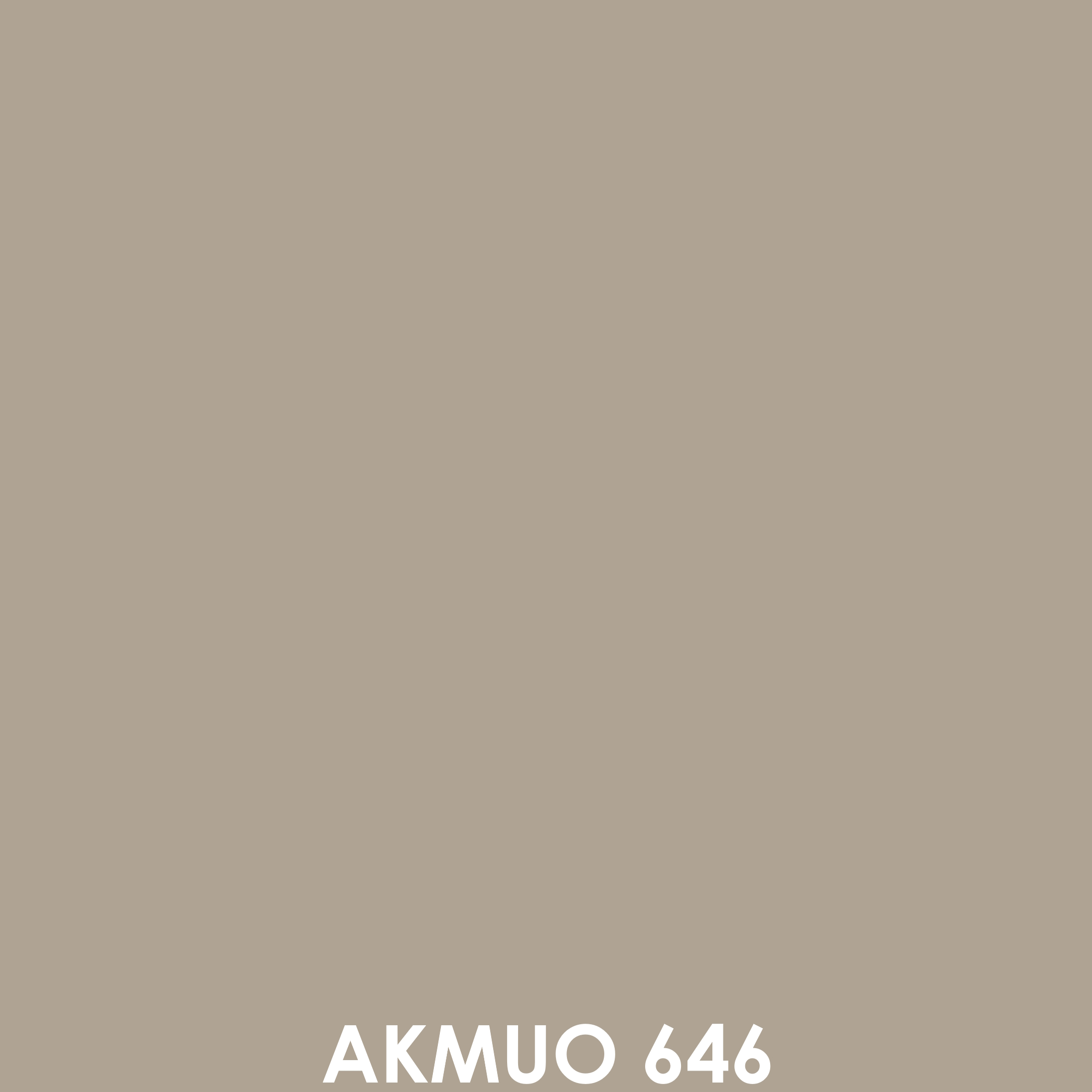 Akmuo 
